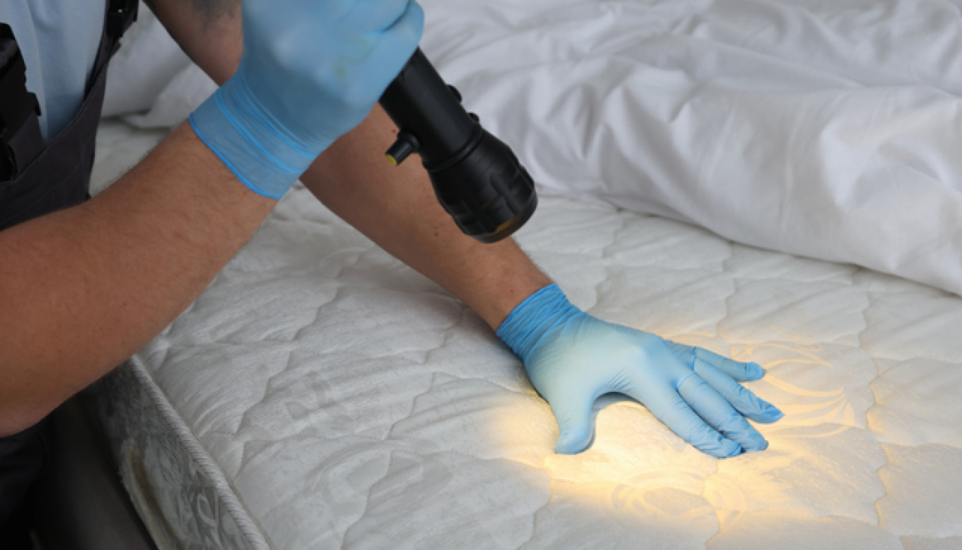 Quel est le meilleur moyen de détecter des punaises de lit ?