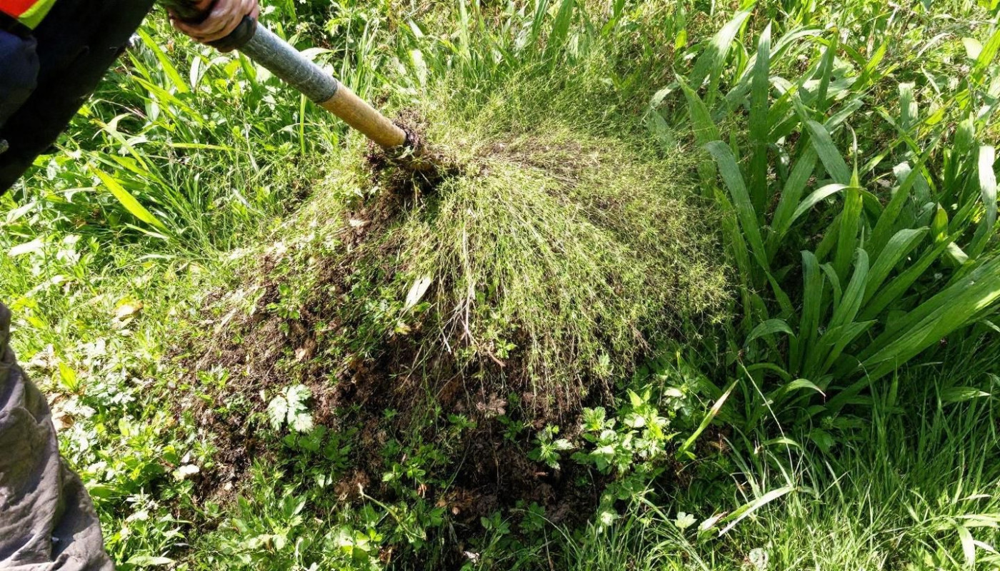 Principes de gestion efficace des végétations avec des broyeurs robustes